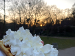 1683989199_053ec78b16087f97c166.jpg