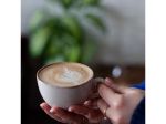 1707568281_2e3c2f4e0ac44742f2d0.jpg